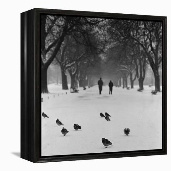 Regent's Park, London. Pigeons on a Snowy Path with People Walking Away Through an Avenue of Trees-John Gay-Framed Premier Image Canvas