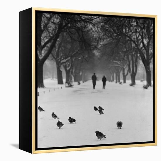 Regent's Park, London. Pigeons on a Snowy Path with People Walking Away Through an Avenue of Trees-John Gay-Framed Premier Image Canvas