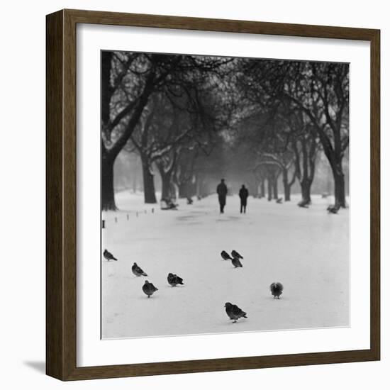 Regent's Park, London. Pigeons on a Snowy Path with People Walking Away Through an Avenue of Trees-John Gay-Framed Photographic Print