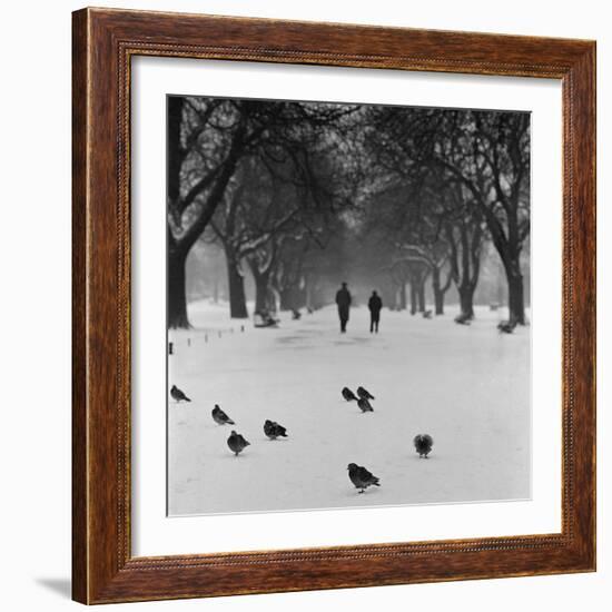 Regent's Park, London. Pigeons on a Snowy Path with People Walking Away Through an Avenue of Trees-John Gay-Framed Photographic Print