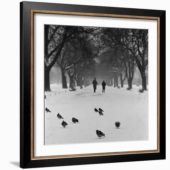 Regent's Park, London. Pigeons on a Snowy Path with People Walking Away Through an Avenue of Trees-John Gay-Framed Photographic Print