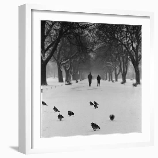 Regent's Park, London. Pigeons on a Snowy Path with People Walking Away Through an Avenue of Trees-John Gay-Framed Photographic Print