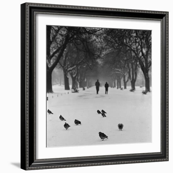 Regent's Park, London. Pigeons on a Snowy Path with People Walking Away Through an Avenue of Trees-John Gay-Framed Photographic Print