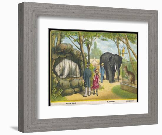 Regent's Park Zoo London Visitors Admire the White Bear the Elephant and the Kangaroo-null-Framed Art Print