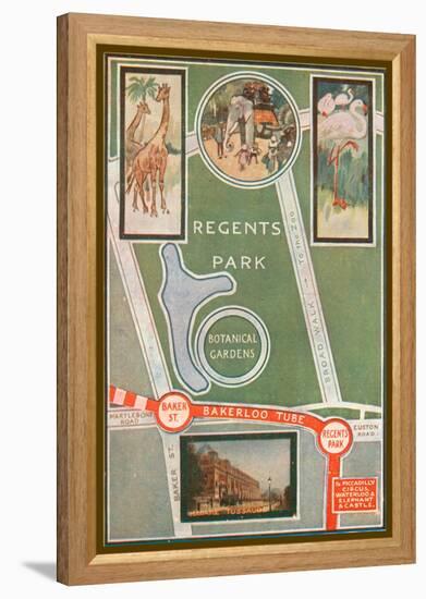 Regents Park and Botanical Gardens, Showing Local Railway Stations-null-Framed Premier Image Canvas