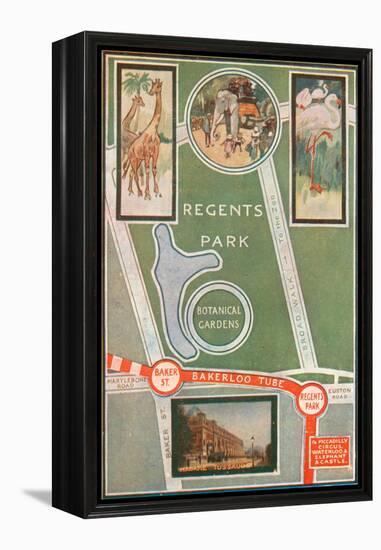 Regents Park and Botanical Gardens, Showing Local Railway Stations-null-Framed Premier Image Canvas