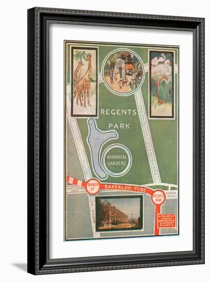 Regents Park and Botanical Gardens, Showing Local Railway Stations-null-Framed Giclee Print