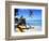 Reggae Singer with Guitar on Beach, Sainte Anne, Guadeloupe-Bill Bachmann-Framed Photographic Print