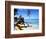 Reggae Singer with Guitar on Beach, Sainte Anne, Guadeloupe-Bill Bachmann-Framed Photographic Print