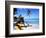 Reggae Singer with Guitar on Beach, Sainte Anne, Guadeloupe-Bill Bachmann-Framed Photographic Print