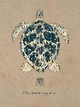Vintage Linen Sea Urchin-Regina-Andrew Design-Art Print