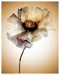 Blossom in Sienna II-Regina-Art Print