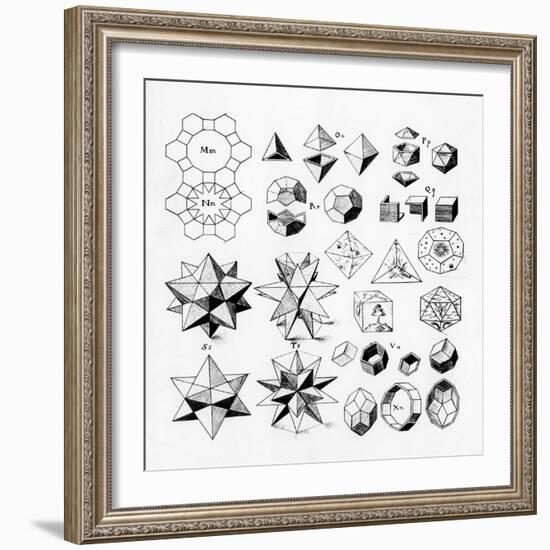 Regular Geometrical Solids of Various Types, 1619-null-Framed Giclee Print