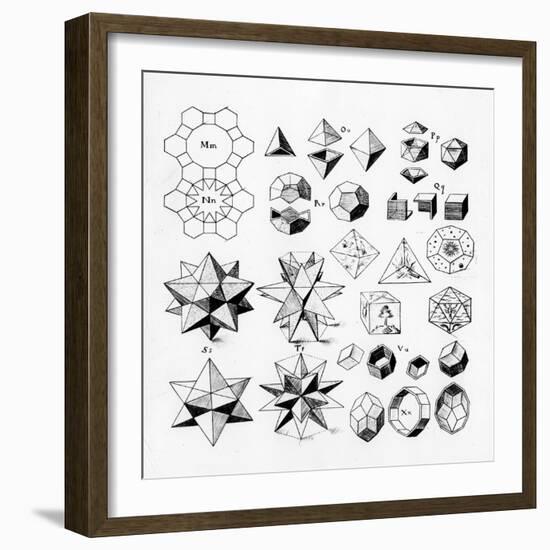 Regular Geometrical Solids of Various Types, 1619-null-Framed Giclee Print