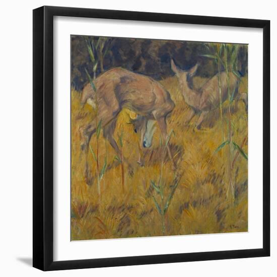 Rehe Im Schilf, 1909-Franz Marc-Framed Giclee Print