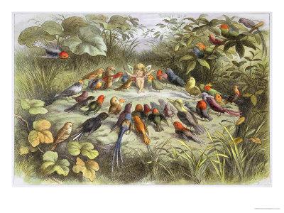 Rehearsal In Fairy Land Illustration From In Fairyland A Series Of Pictures From The Elf World Giclee Print Richard Doyle Art Com