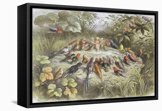 Rehearsal in Fairy Land, Illustration from "In Fairyland: a Series of Pictures from the Elf-World"-Richard Doyle-Framed Premier Image Canvas