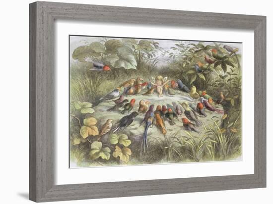 Rehearsal in Fairy Land, Illustration from "In Fairyland: a Series of Pictures from the Elf-World"-Richard Doyle-Framed Giclee Print