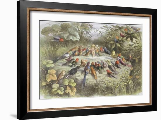 Rehearsal in Fairy Land, Illustration from "In Fairyland: a Series of Pictures from the Elf-World"-Richard Doyle-Framed Giclee Print