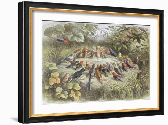 Rehearsal in Fairy Land, Illustration from "In Fairyland: a Series of Pictures from the Elf-World"-Richard Doyle-Framed Giclee Print