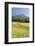 Rei�ofel, Gailtaler Alps, Carinthia, Austria-Rainer Mirau-Framed Photographic Print