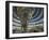 Reichstag Building, Designed by Sir Norman Foster, Berlin, Germany-Neale Clarke-Framed Photographic Print