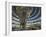 Reichstag Building, Designed by Sir Norman Foster, Berlin, Germany-Neale Clarke-Framed Photographic Print