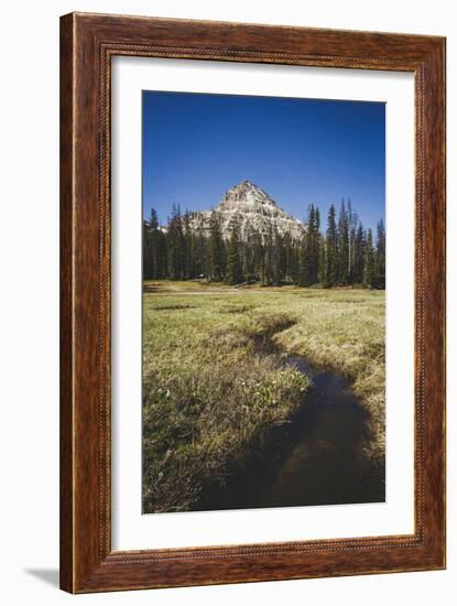 Reids Peak Rising Above Reids Meaadow, Lofty Lake Loop, Uinta Mountains, Utah-Louis Arevalo-Framed Photographic Print