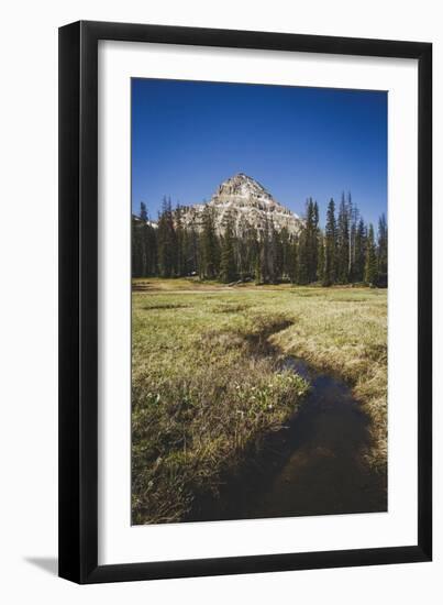 Reids Peak Rising Above Reids Meaadow, Lofty Lake Loop, Uinta Mountains, Utah-Louis Arevalo-Framed Photographic Print
