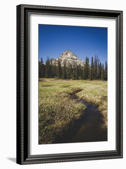 Reids Peak Rising Above Reids Meaadow, Lofty Lake Loop, Uinta Mountains, Utah-Louis Arevalo-Framed Photographic Print