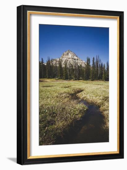 Reids Peak Rising Above Reids Meaadow, Lofty Lake Loop, Uinta Mountains, Utah-Louis Arevalo-Framed Photographic Print
