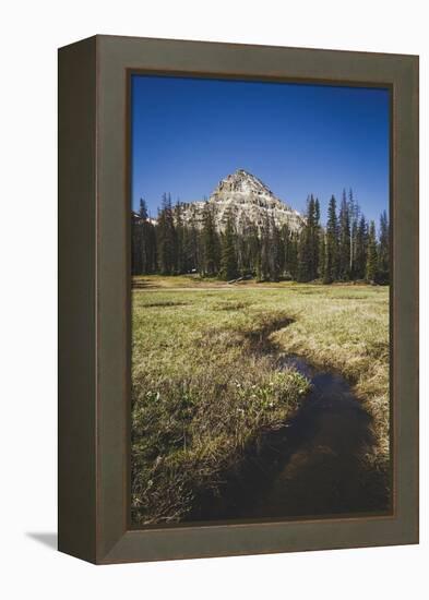 Reids Peak Rising Above Reids Meaadow, Lofty Lake Loop, Uinta Mountains, Utah-Louis Arevalo-Framed Premier Image Canvas