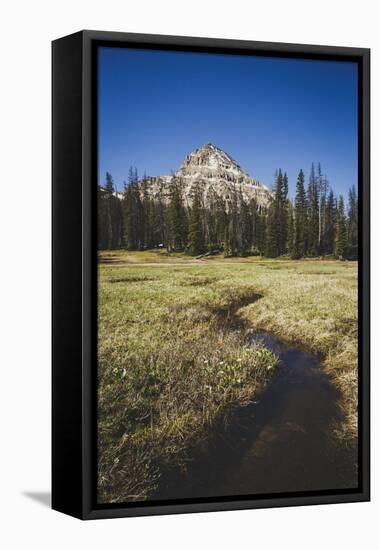 Reids Peak Rising Above Reids Meaadow, Lofty Lake Loop, Uinta Mountains, Utah-Louis Arevalo-Framed Premier Image Canvas