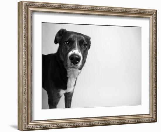 Reilly-Kim Levin-Framed Photographic Print