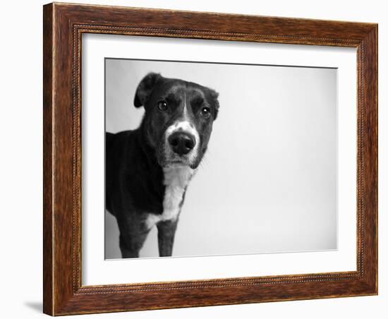 Reilly-Kim Levin-Framed Photographic Print