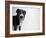 Reilly-Kim Levin-Framed Photographic Print