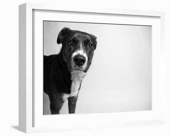 Reilly-Kim Levin-Framed Photographic Print