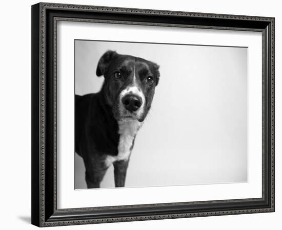 Reilly-Kim Levin-Framed Photographic Print