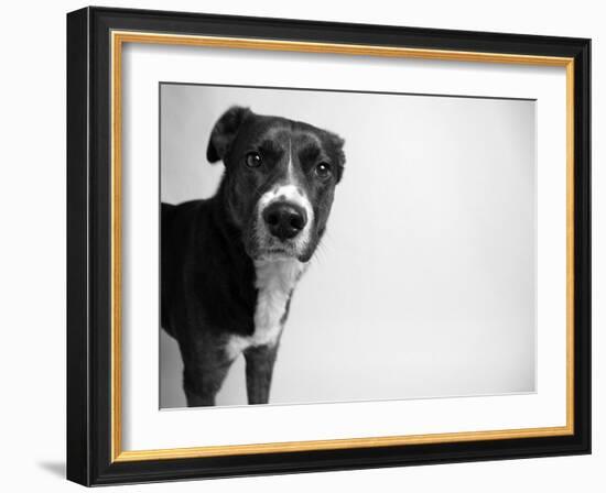 Reilly-Kim Levin-Framed Photographic Print