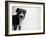 Reilly-Kim Levin-Framed Photographic Print