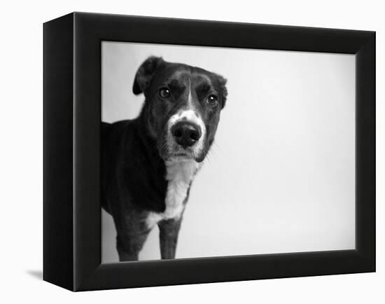 Reilly-Kim Levin-Framed Premier Image Canvas