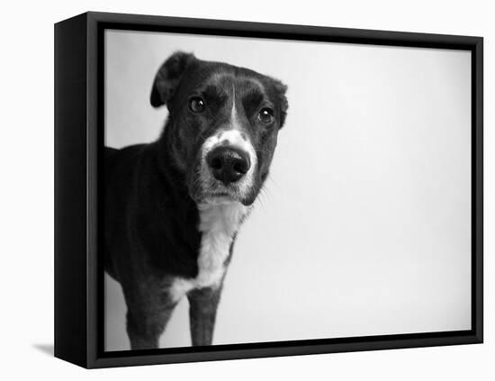 Reilly-Kim Levin-Framed Premier Image Canvas