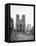 Reims Cathedral after the German Retreat, 1918-Jacques Moreau-Framed Premier Image Canvas