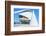 Reina Sofia Arts Palace, City of Arts and Sciences, Valencia, Spain-Marco Simoni-Framed Photographic Print