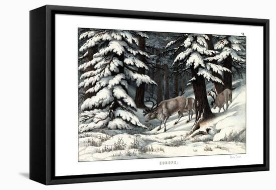 Reindeer, 1860-null-Framed Premier Image Canvas