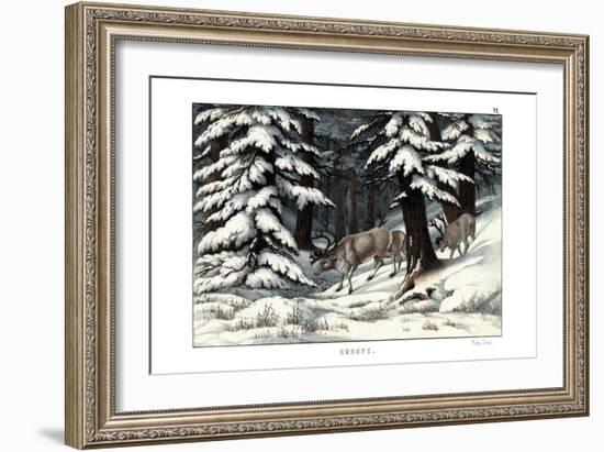 Reindeer, 1860-null-Framed Giclee Print