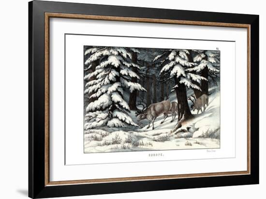 Reindeer, 1860-null-Framed Giclee Print