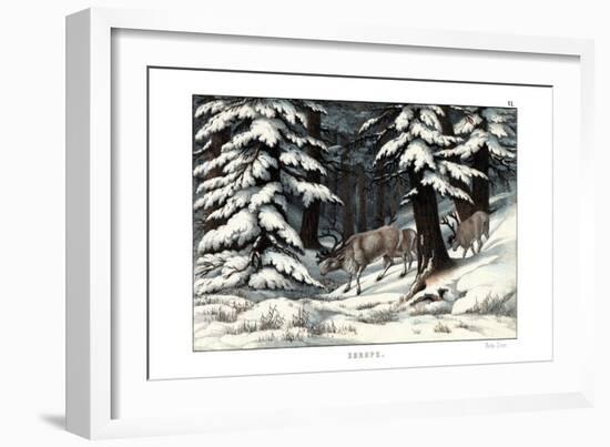 Reindeer, 1860-null-Framed Giclee Print