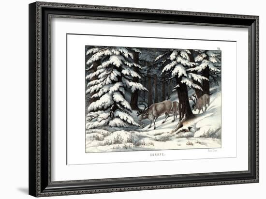 Reindeer, 1860-null-Framed Giclee Print