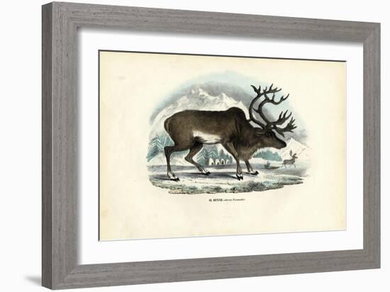 Reindeer, 1863-79-Raimundo Petraroja-Framed Giclee Print